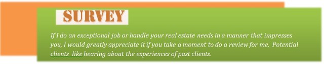 Real Estate Agent Review